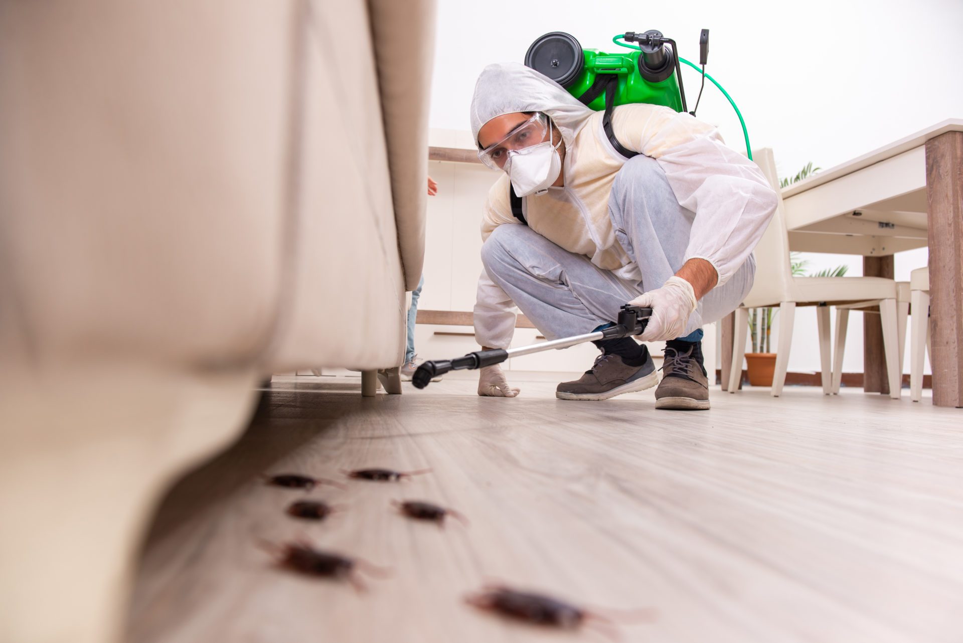cockroach control Ferntree Gully